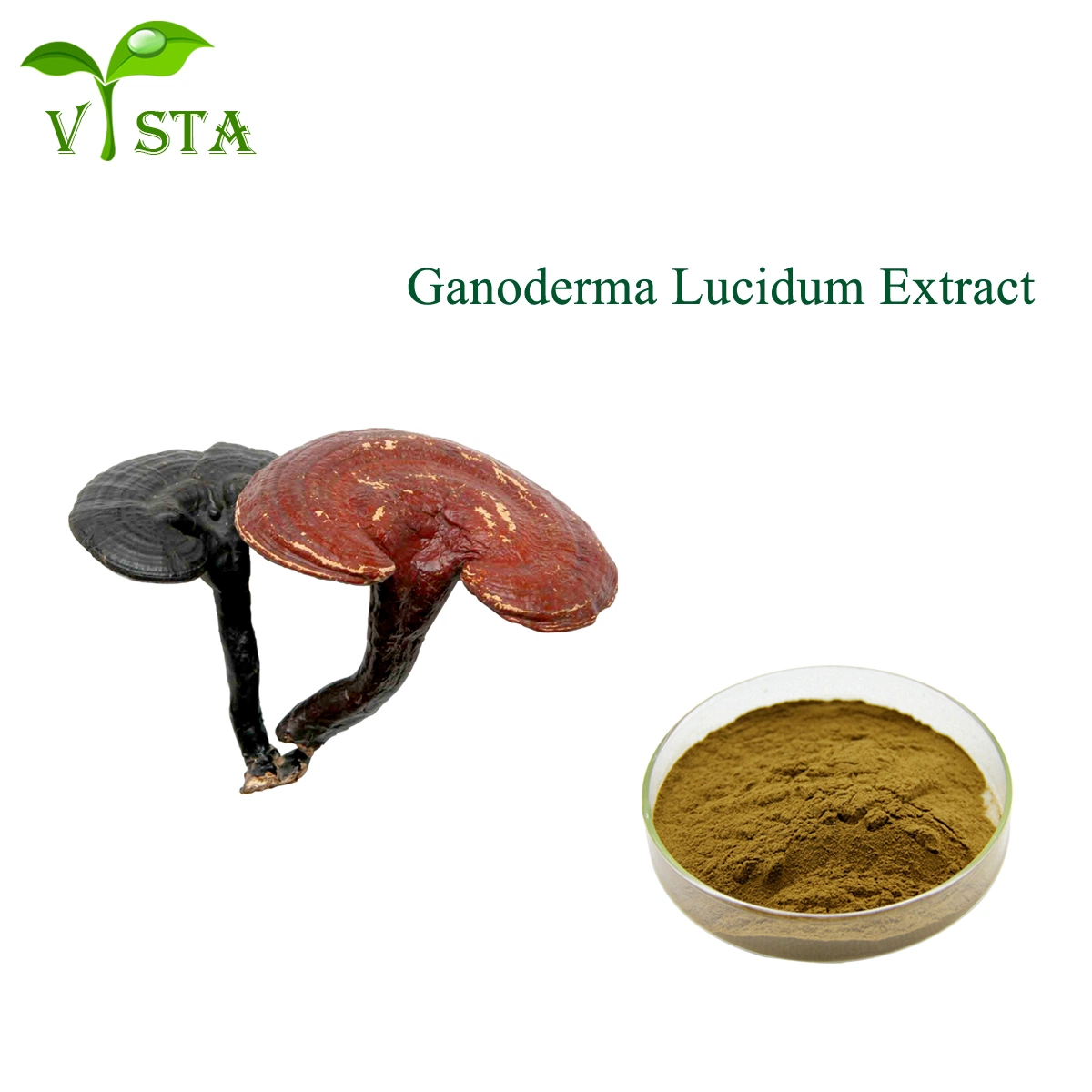 100% Natural Ganoderma Lucidum Polysaccharide Mushroom Powder Reishi Mushroom Extract