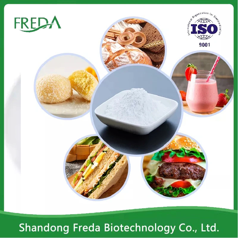 Top Food Grade Additives Ingresients Preservatives Powder Nisin Food Preservatives