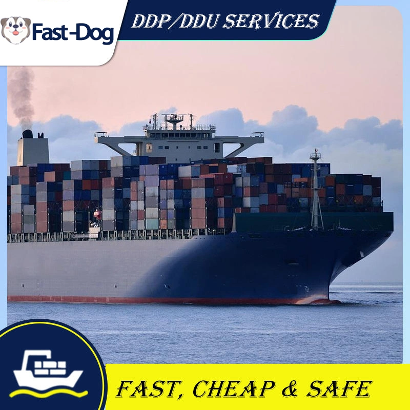 2023 Hot Selling Competitive Price Sea Freight 40hq From China FCL LCL Buy China to USA Sea Shipping