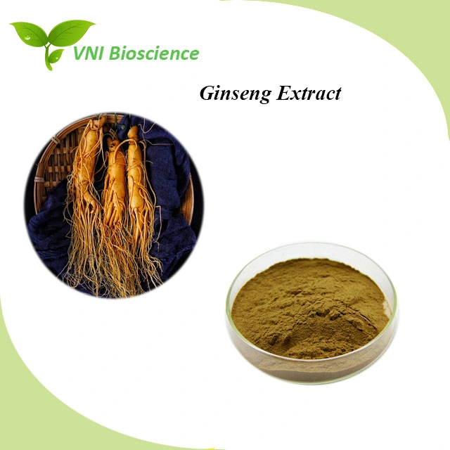 ISO Certified 100% Natural Ginseng Root Extract