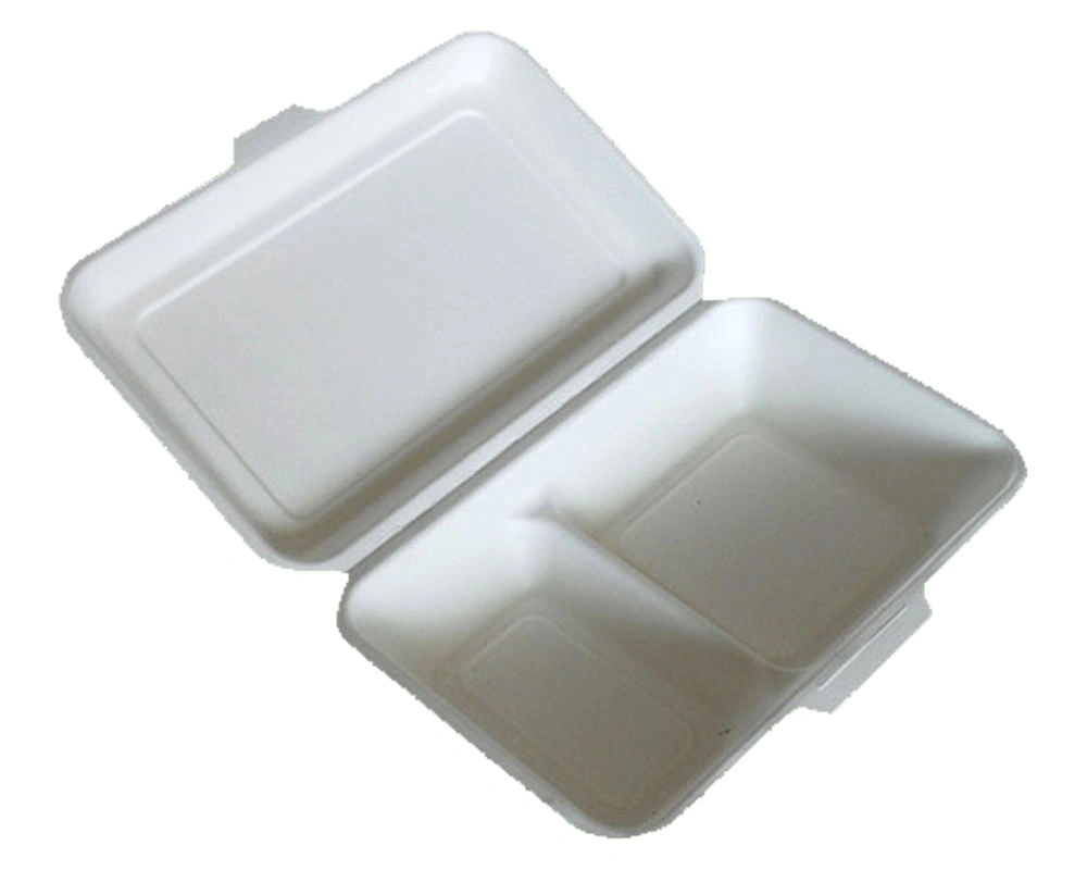 Recipiente de comida para viagem Noodle placas de sobremesa de polpa natural descartáveis biodegradáveis Tabuleiro de papel rectangular