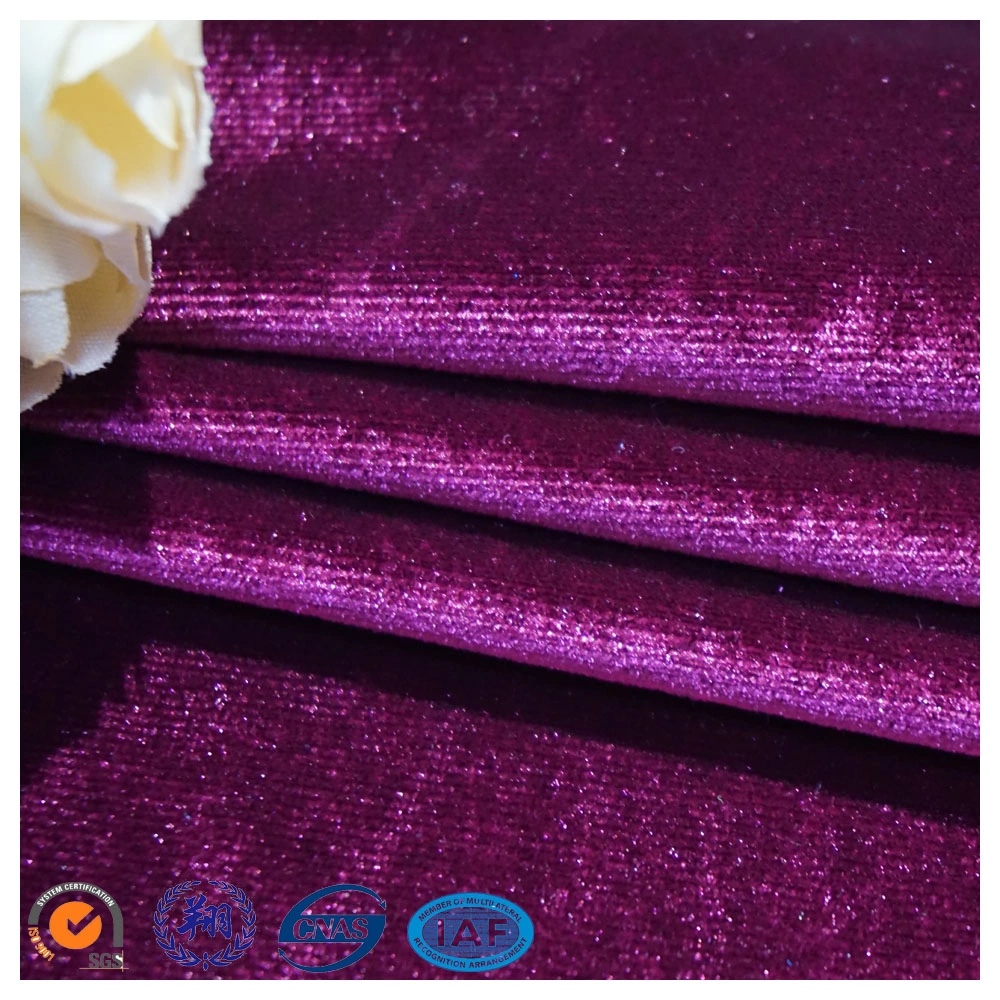 High quality/High cost performance 95% Polyester and 5%Spandex South Korea Velvet for Garment