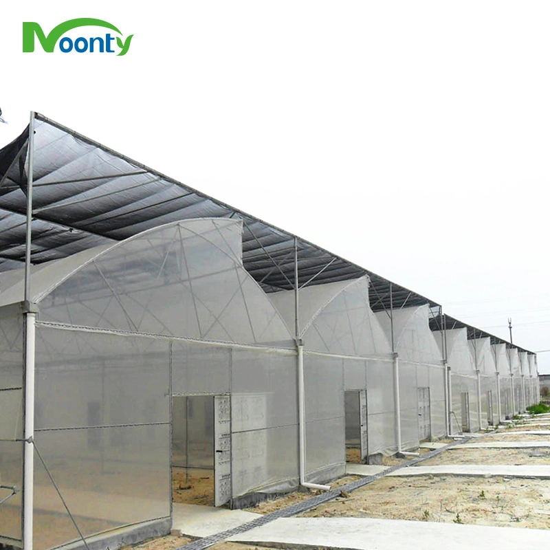 China Lieferant Multi Span Sawtooth Dach Film Greenhouse mit Bewässerung System