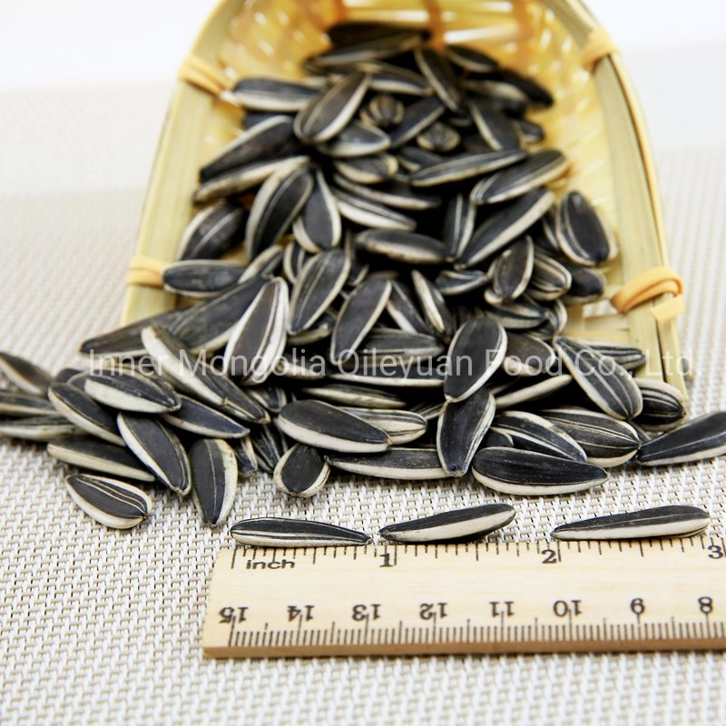 Raw Natural Chinese Wholesale/Supplier Sunflower Black Seeds Sunflower Seeds Wholesale/Supplier