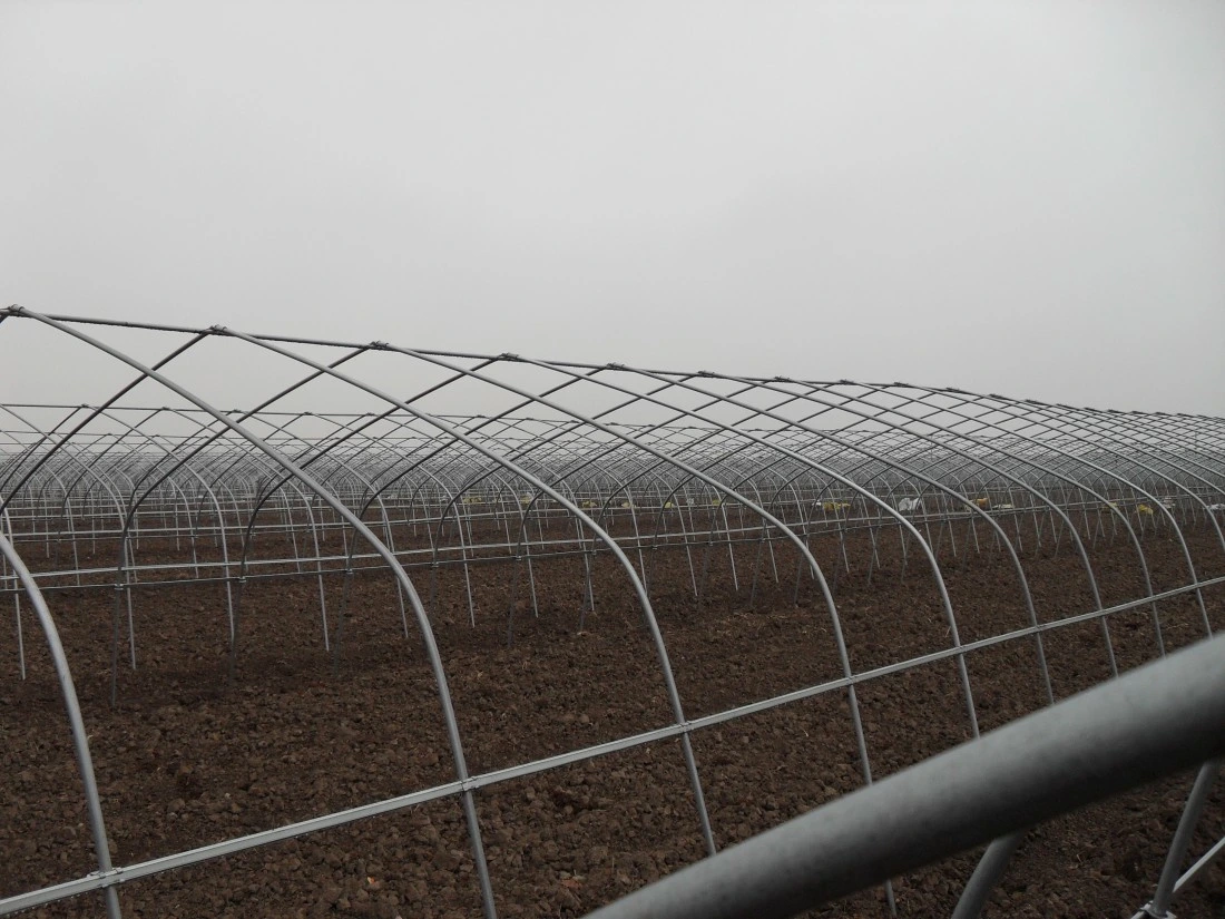 Prefabricated Frame No Welding Prefabricated Greenhouse for Rose Planting