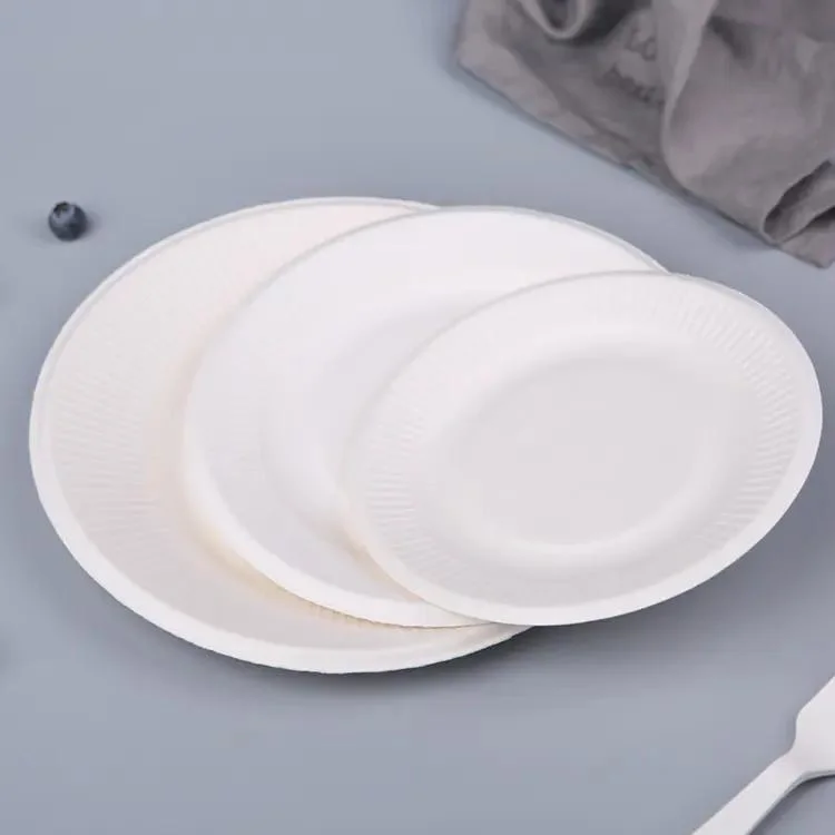 La bagasse de canne à sucre de grade alimentaire biodégradable plaques jetables de canne à sucre pâte à papier de bambou bio dégradables pour partie compostable plat