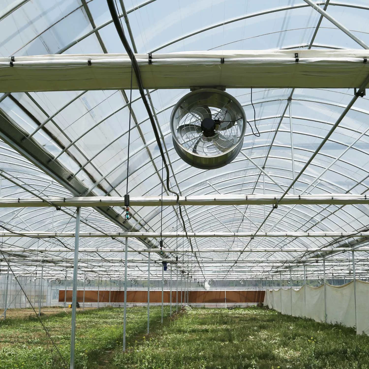 Structure en acier galvanisé Multi-Span/Serre en film plastique avec système d'irrigation hydroponique pour les fraises/les fleurs/les légumes