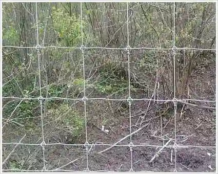 High quality/High cost performance Galvanized Wire Grassland Net Fence with Column