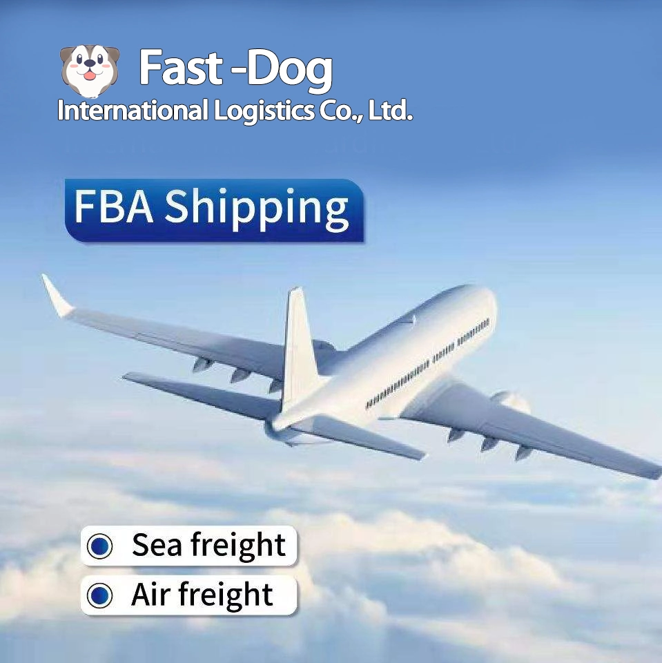 Tür zu Tür Air Shipping Agents Versicherung Luftfracht nach Ägypten Shipping