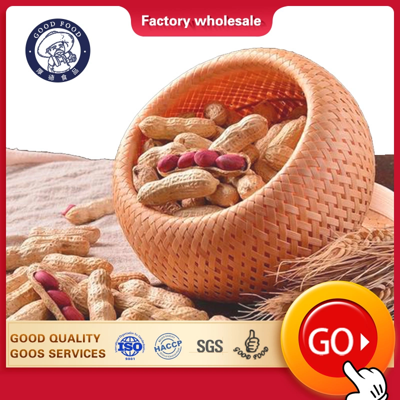 Chinese Factory Professional Peanut Factory/Mill Best Raw Peanuts in Shell