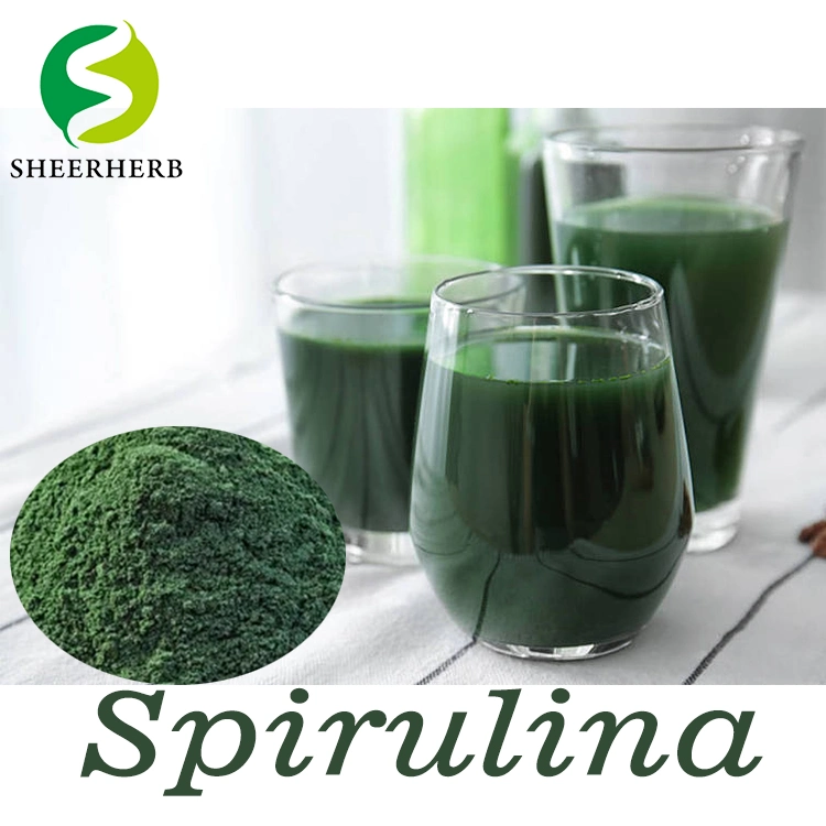 La couleur des aliments naturels Sheerherb fabrique la spiruline phycocyanine Pigment bleu poudre