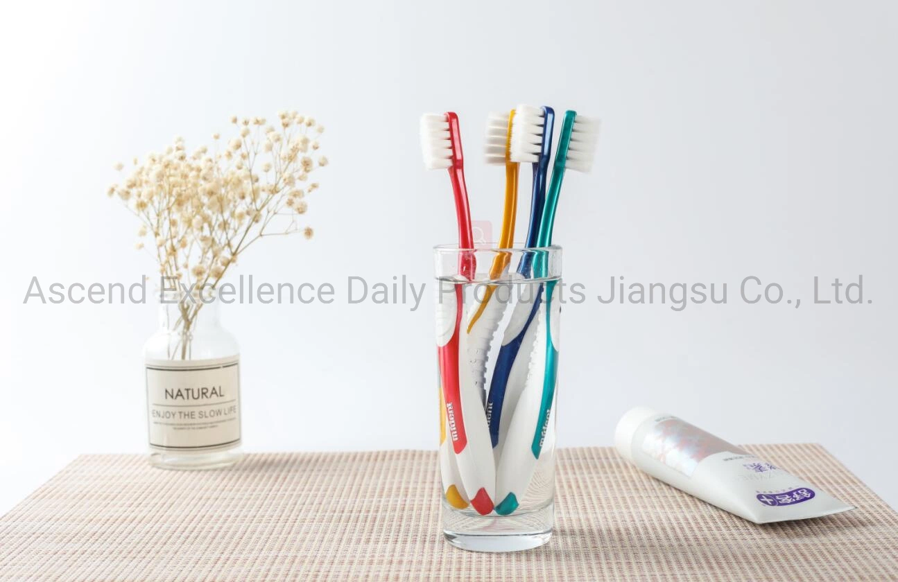 Four Colors Hot Sale Adult Toothbrush