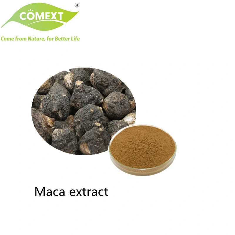 Comext Factory High Quality Precio competitivo Alimentos Naturales Extracto de raíz Maca polvo Amarillo Marrón 10: 1 0,6% Macamidas para la Salud del Hombre