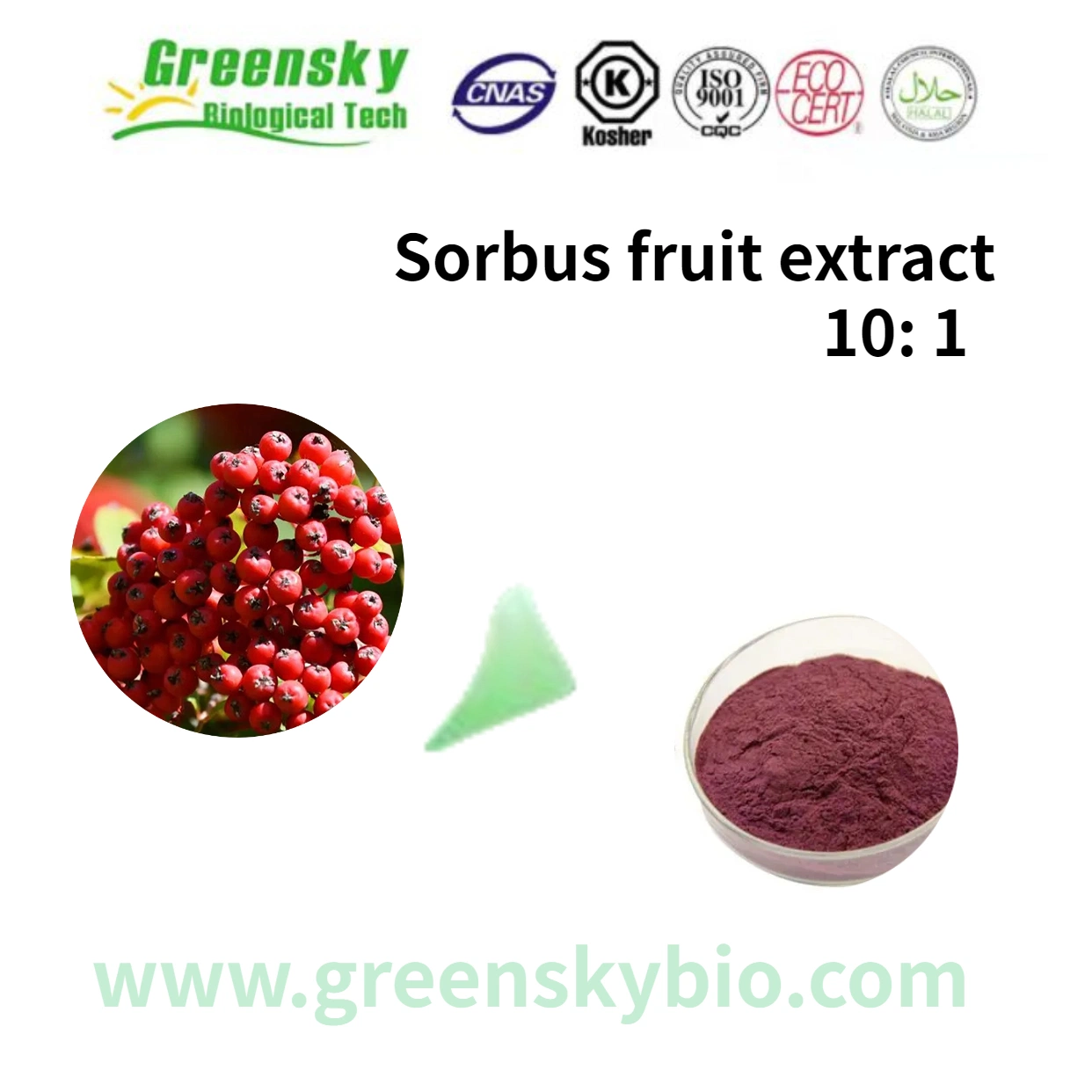 Aronia Extract Aronia Melanocarpa 10: 1 Fruit Dark Violet Fine Powder High quality/High cost performance  Plant Extract Herbal Extract 100% Natural Food Additives