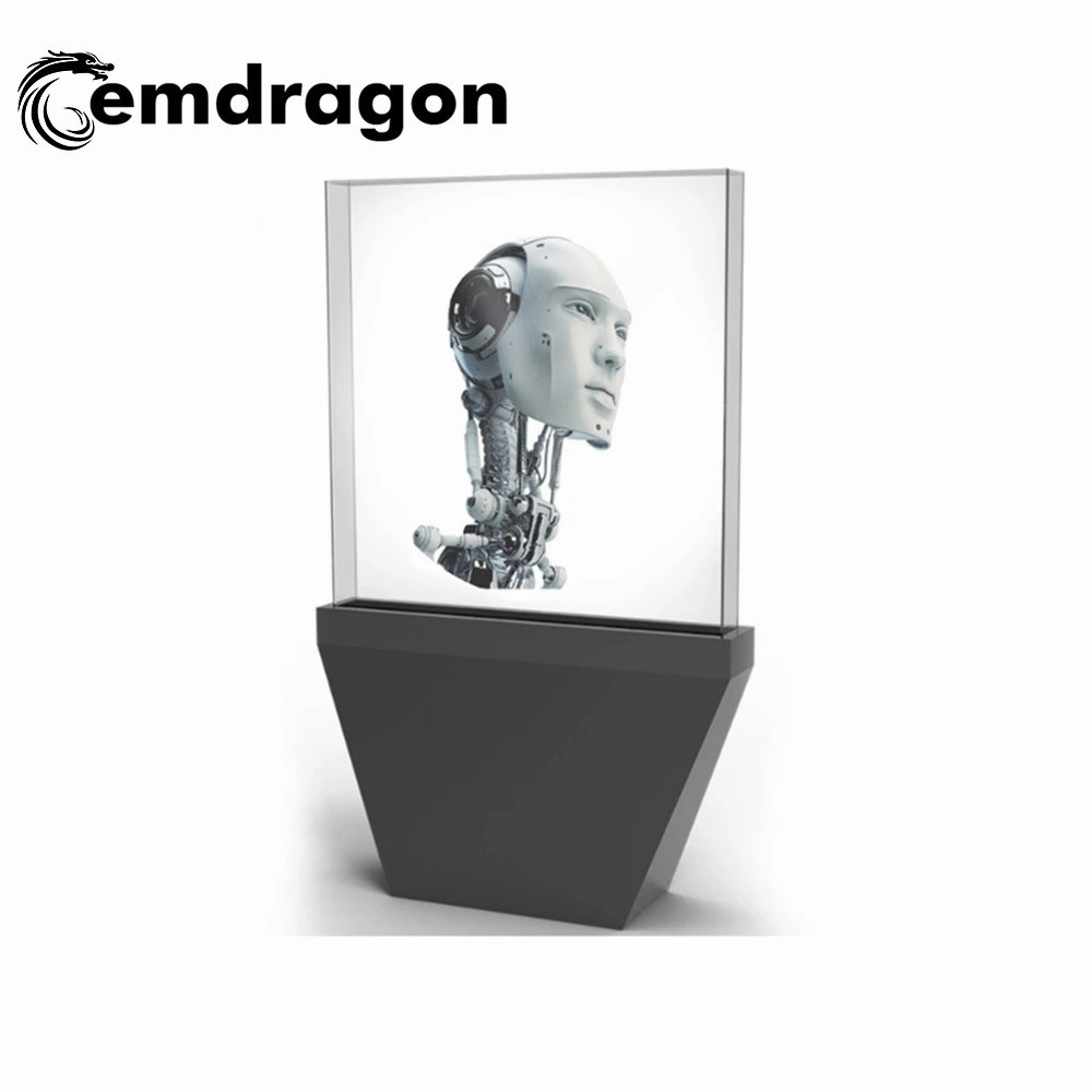 Advertising Machine 65cm 3D Holographic LED Fan Display 3D Hologram Fan