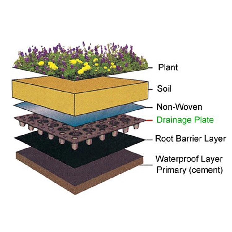 2.5m*30m Roll Height 10mm HDPE Drainage Board Sheet