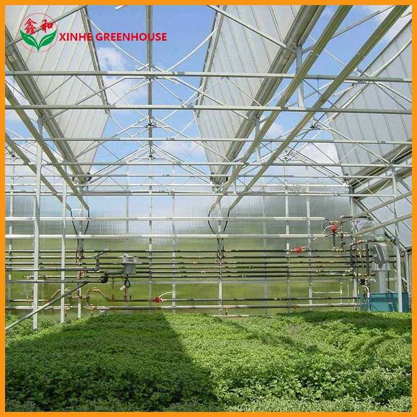 Vegetables/Flowers/Fruits Glass Grow Tent Garden Commercial Hydroponic Systems Multi Span Greenhouse