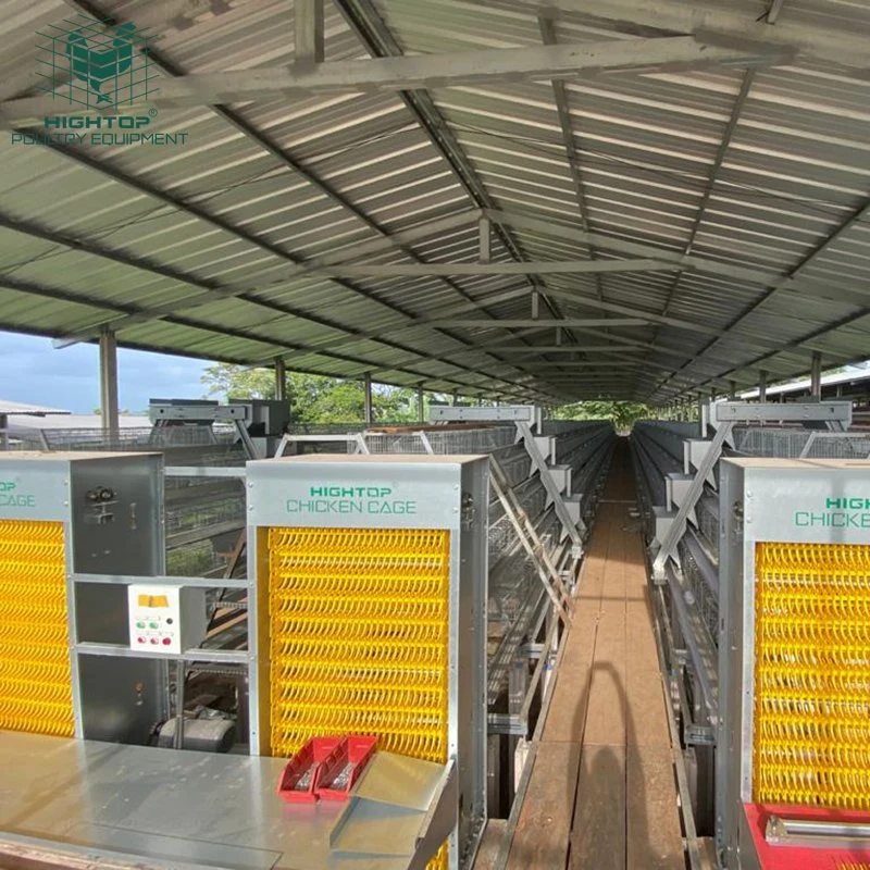 Diseño de malla de alambre galvanizado en caliente un tipo de batería automática de la jaula de pollo para las gallinas ponedoras