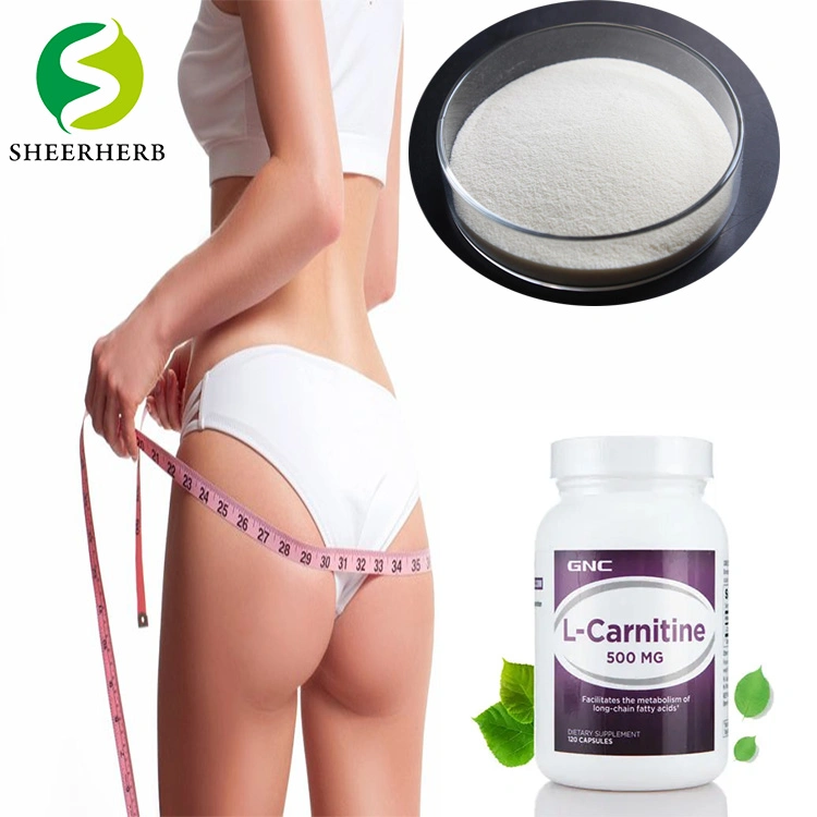 2021 Sheerherb High-Efficiency Weight Loss L-Carnitine Customized Capsule Acetyl L-Carnitine