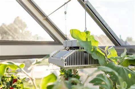 Planta vertical hidropónica contenedor de fábrica invernadero con LED Grow Lights