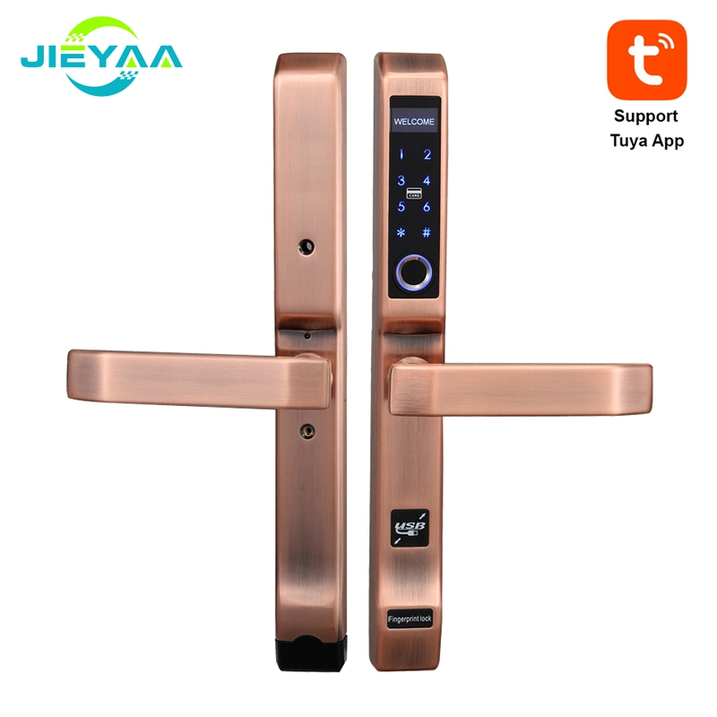 Tuya APP aluminium en acier inoxydable porte Smart Lock électronique numérique Empreinte digitale de porte coulissante pivotante de porte Smart Lock