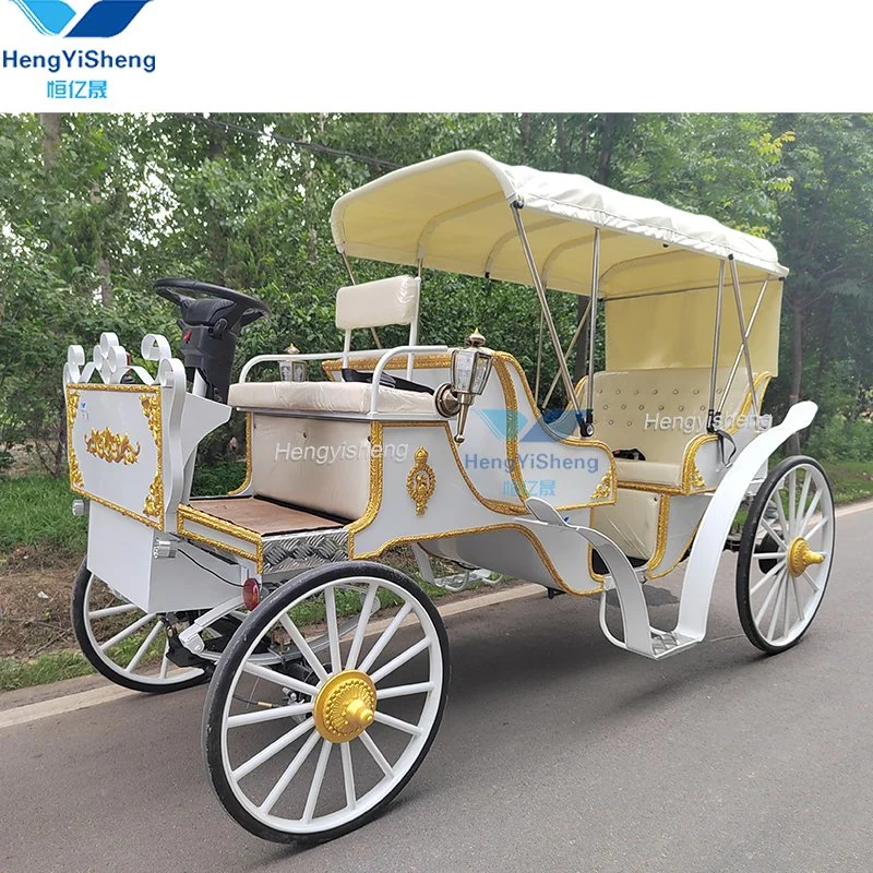 Special Transportation for Sightseeing Tourism Horse Carriage for Sale