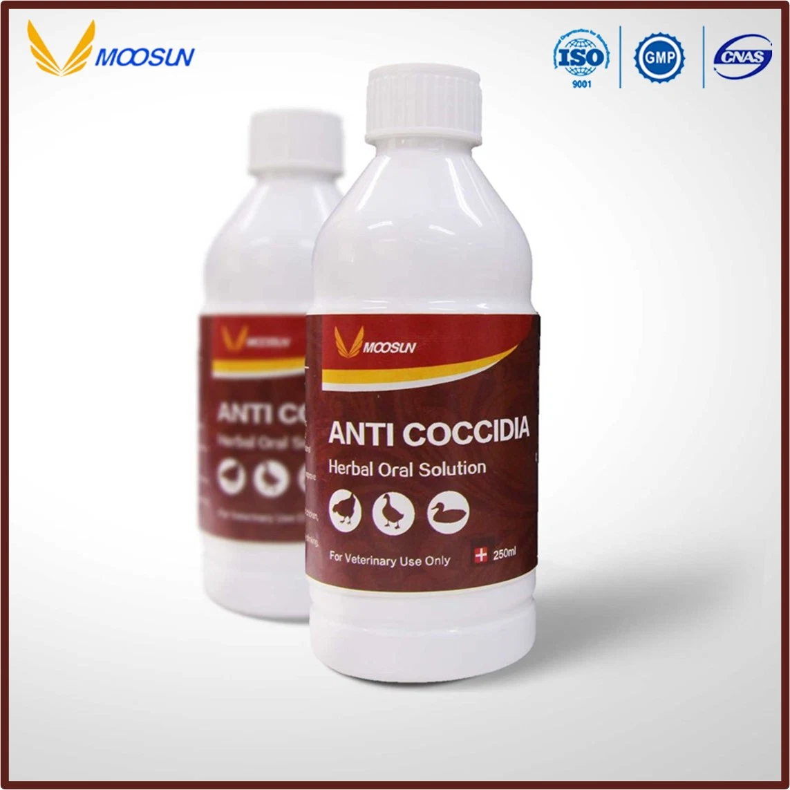 GMP Factory Anti Coccidia Herbal Oral Solution Veterinary Drug