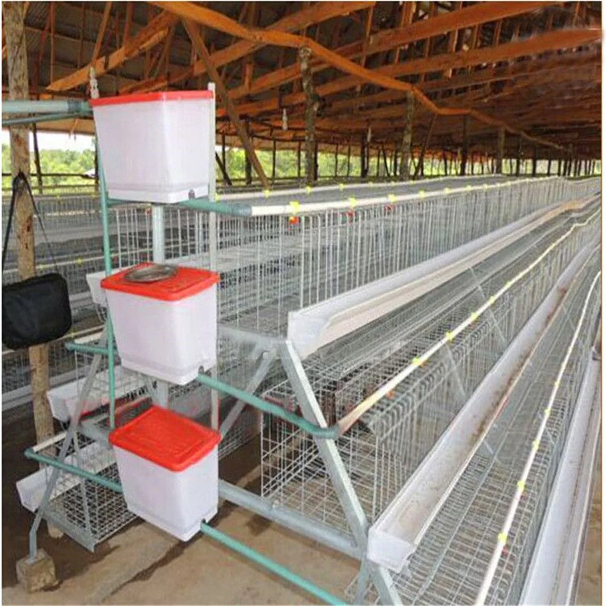 Pollo capa sistema de jaula aves Equipo agrícola Pollo