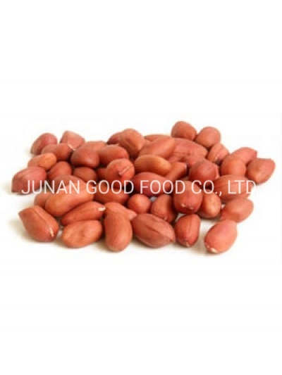 High Quality Hot Sale Factory Price Java Peanut Kernel