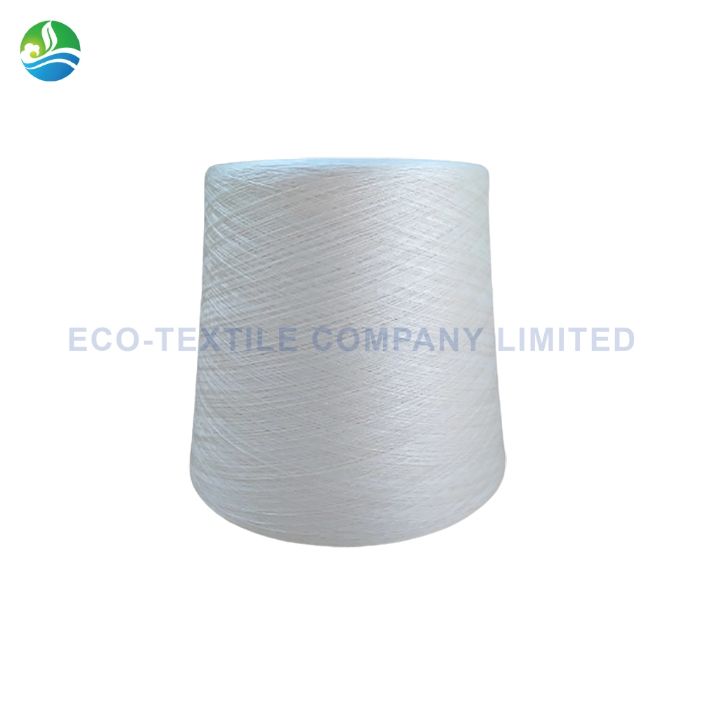 34nmx1 100% a/B/C Grade Bleached White Tussah Silk Yarn for Carpet