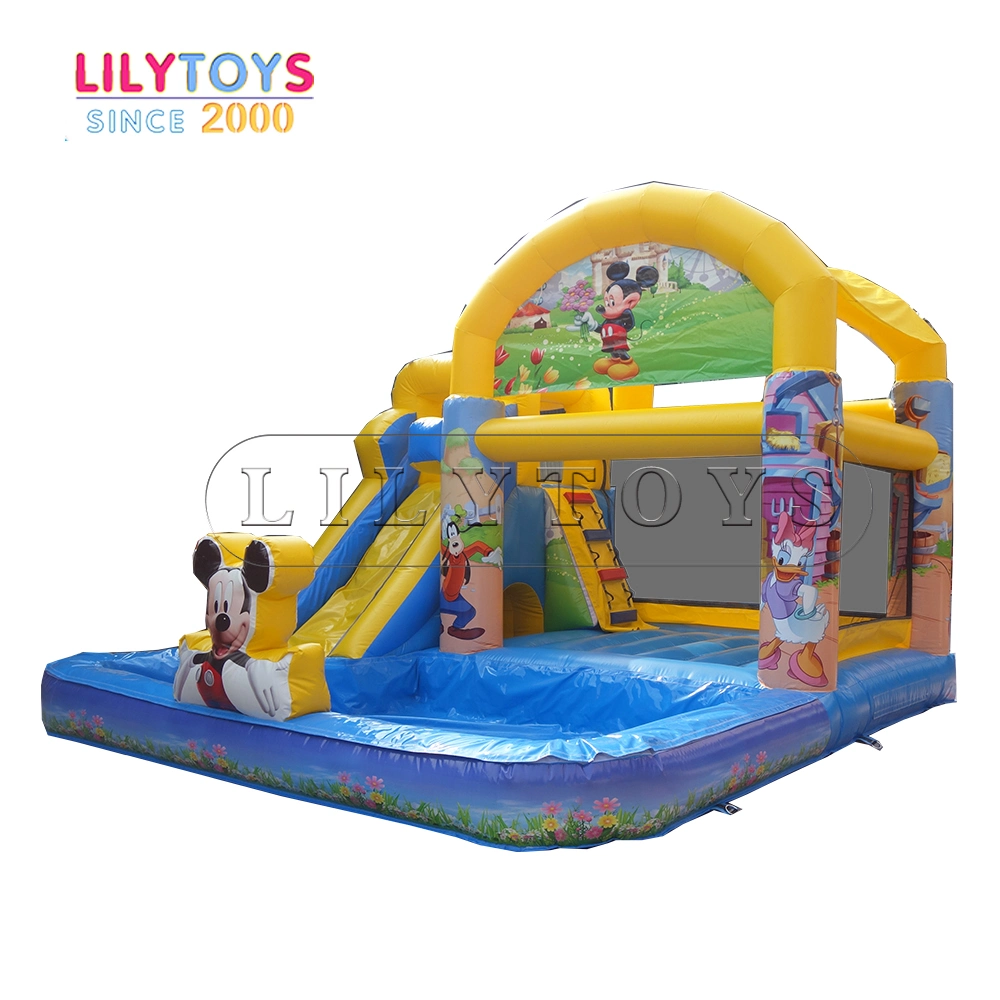 Inflatable Indoor Playground Equipment, Inflatable Jumping Bouncy Castle Slide Combo