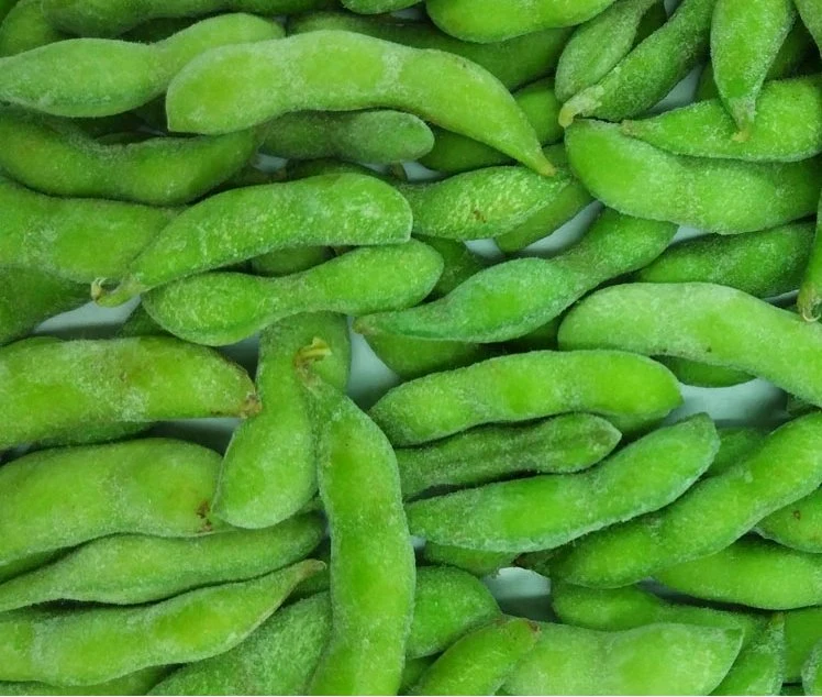 Frozen Vegetable Agricultural Industry Hot Sale High Quality Edamame Food Bean Product with FDA Certification