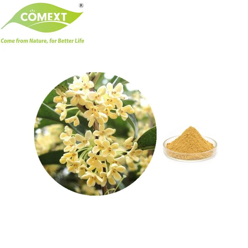 Comext Free Sample meilleur prix de qualité alimentaire de haute qualité en gros Osmanthus Poudre aromatisée