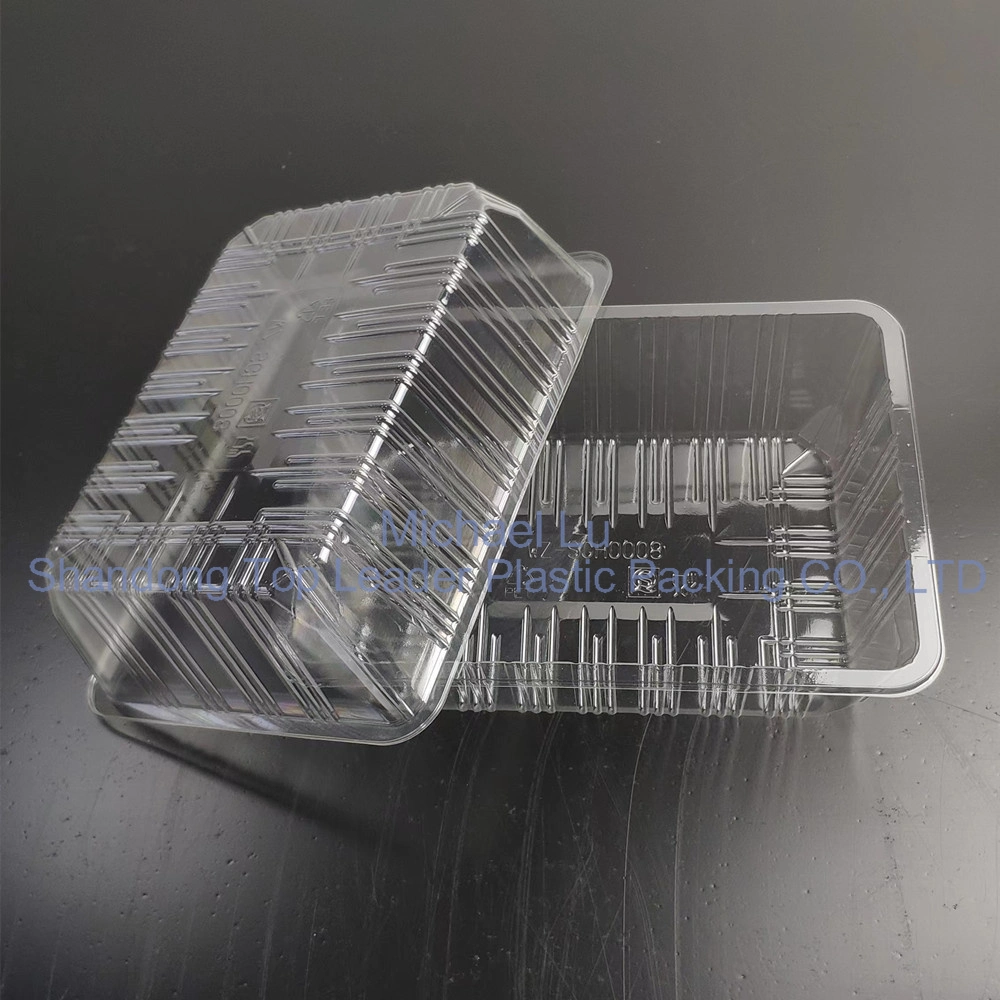 Pet Salad Packaging Small Clear Round Plastic Boxes (food, vegetables, It can hold any food)