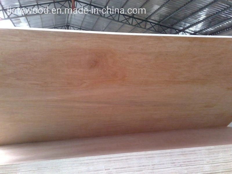 Building Material Pine/Birch/Poplar/ Commercial Plywood