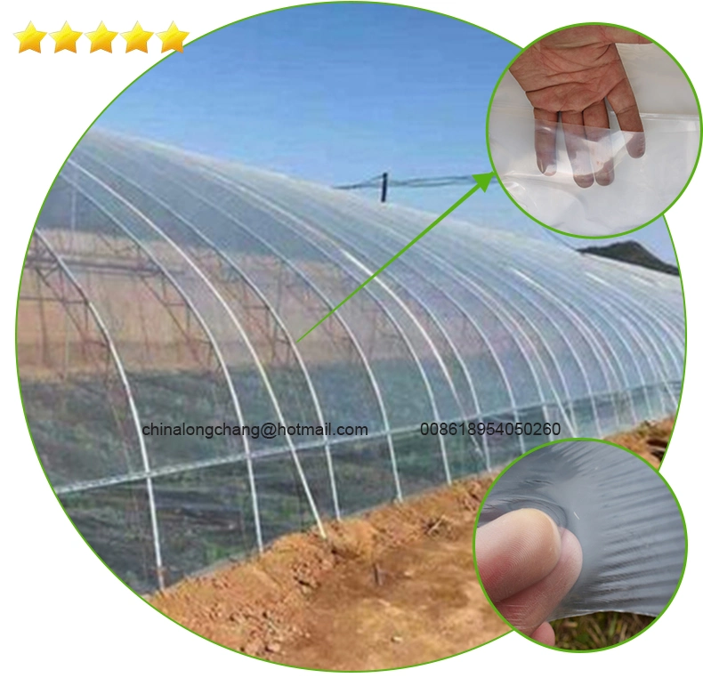 200 Micron Agricultural Green House UV Resistant Clear Reflective Plastic Film Cover with Great Price