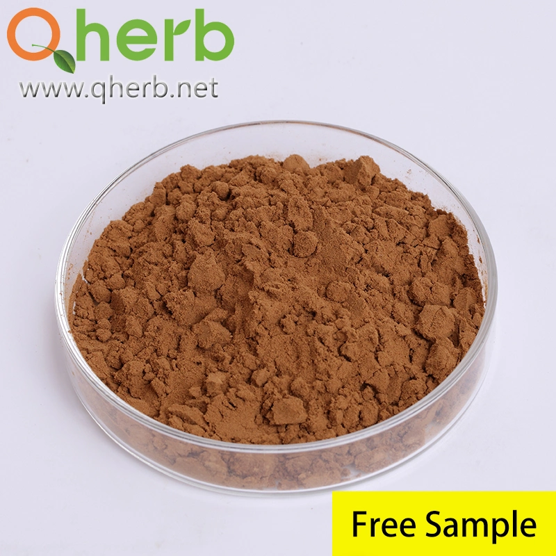 High-Quality Lingzhi Food Grade Coffee Ganoderma Lucidum Reishi Mushroom Spore Extract Powder for Functional Food and Pharmaceutical Stuff