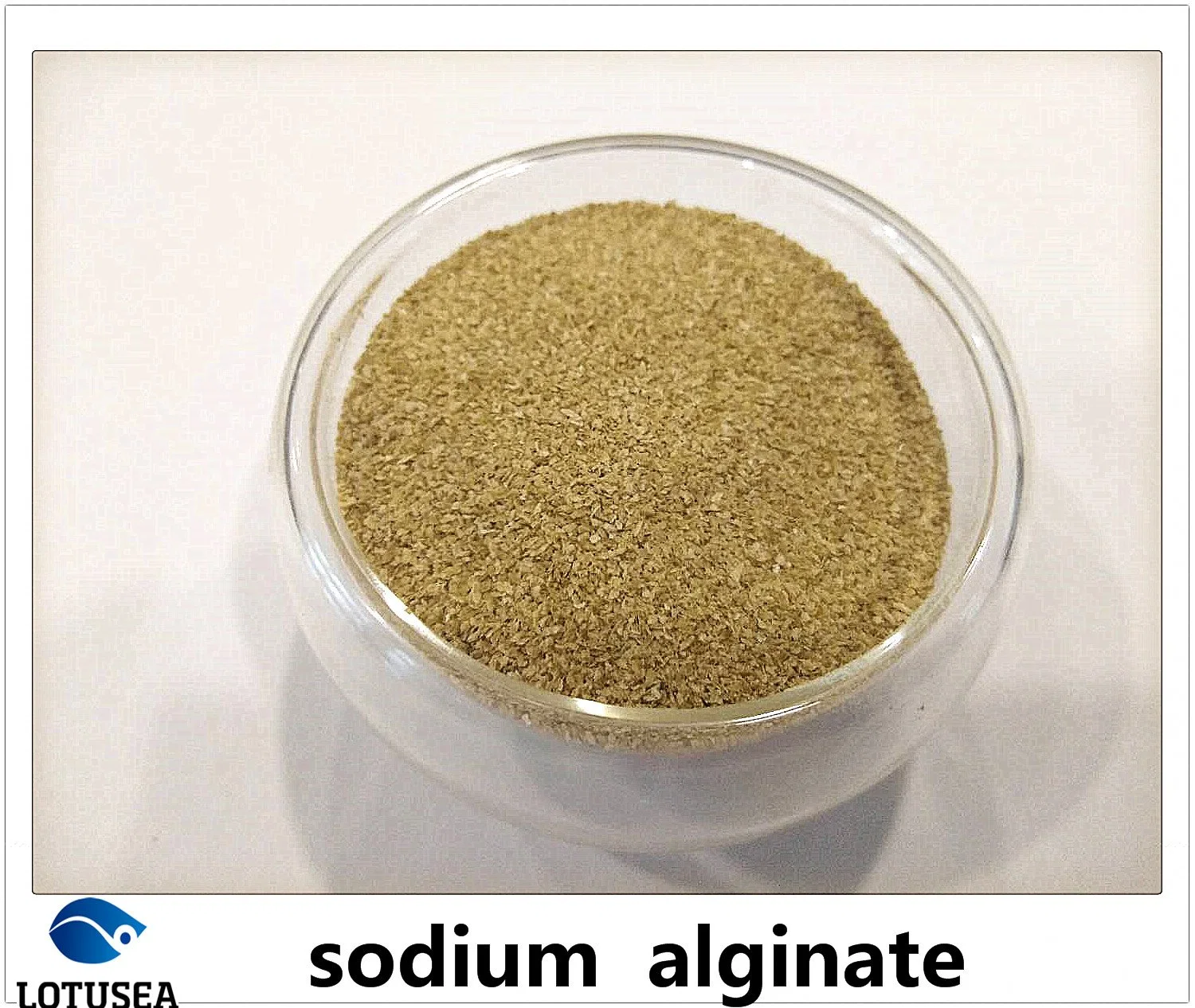 Sodium Alginate Textile Grade Reactive Dye Use 6000cps