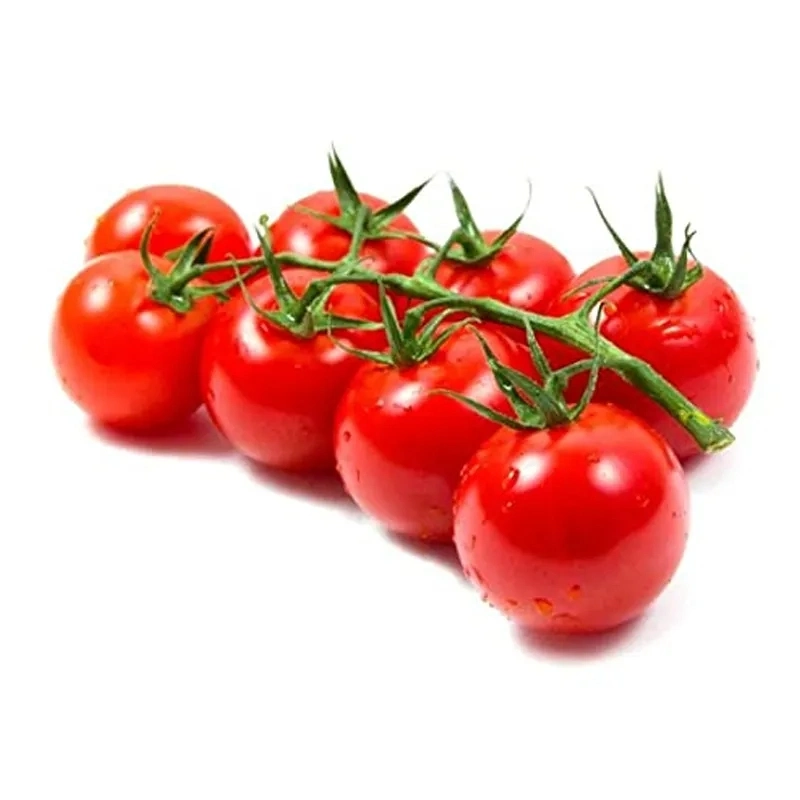 Best Quality Different Sizes 30g Tomato Sauce