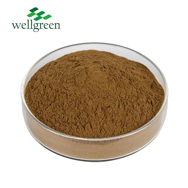 Natural Herb Butchers Broom Ruscus Aculeatus Root Extract Ruscogenins10% 20%