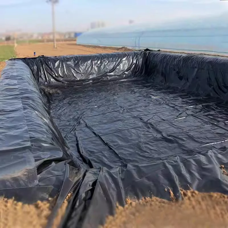 HDPE/LDPE/EVA Geomembrane with 100% Virgin, Waterproof/Aging Resistance for Dam/Pond Liner/Channel/Lake/Cover