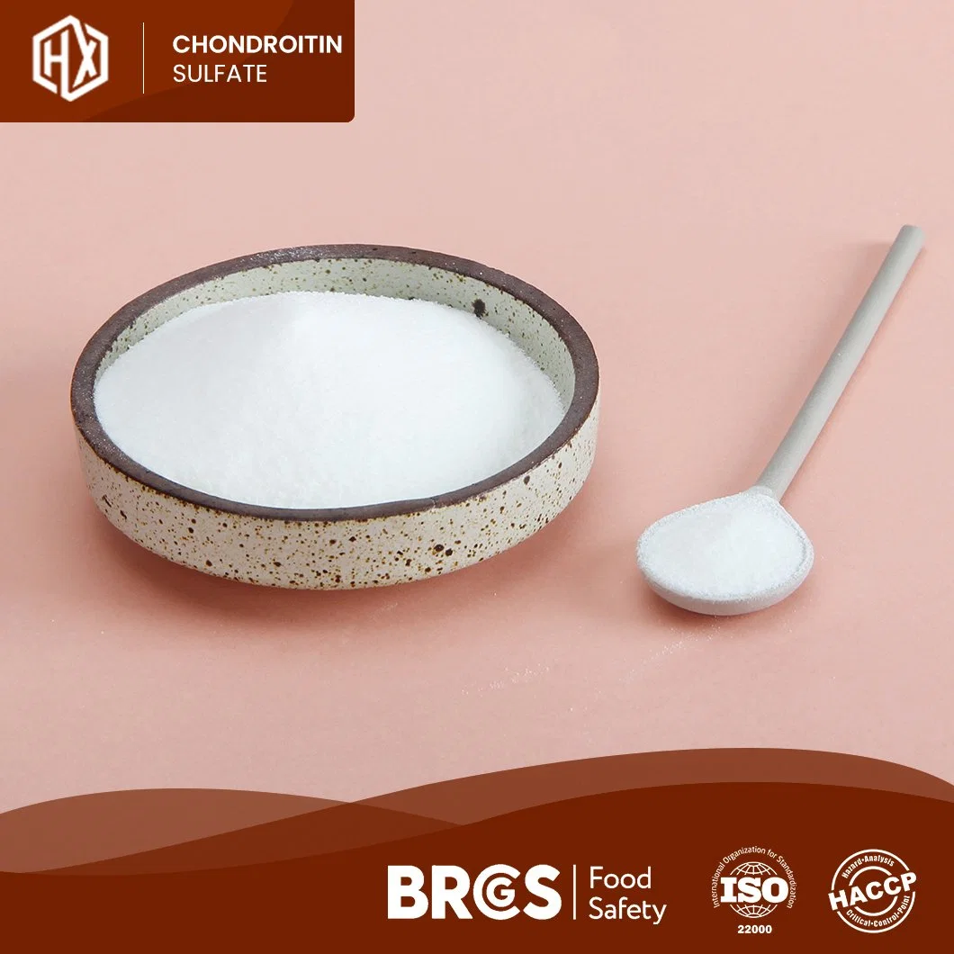 Haoxiang Supply Food Grade Pure Chicken Bone Chondroitin Sulfate Powder for Bone Health OEM Customized Improves Bone Density