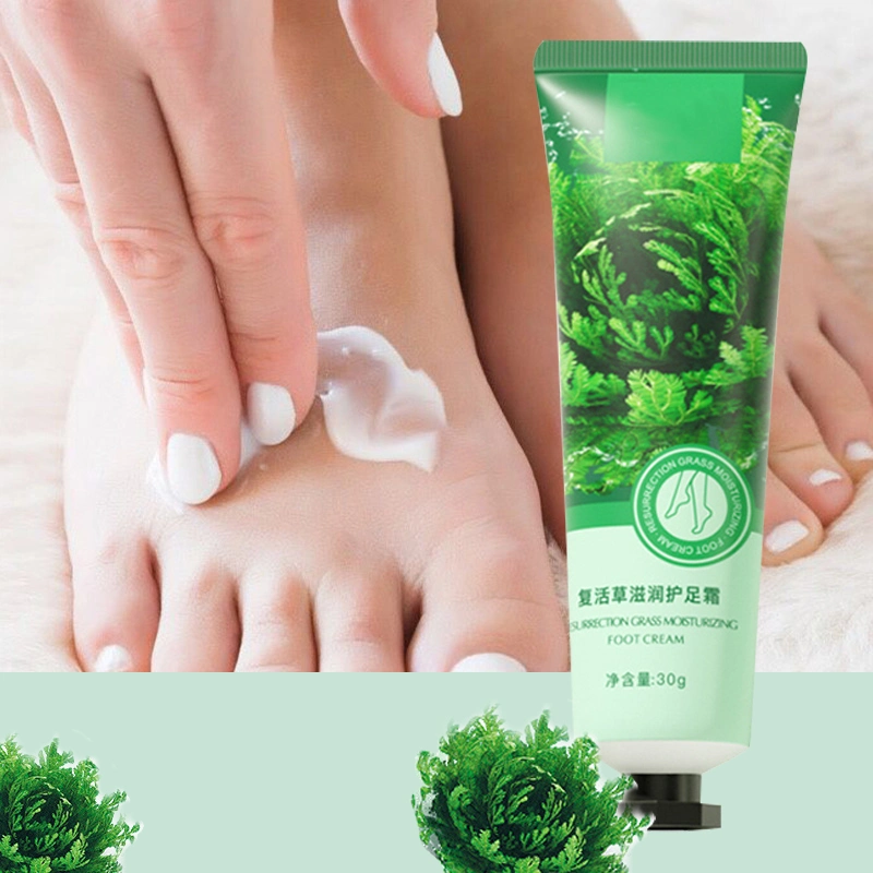OEM Moisturizing Custom Moisture Private Label Organic Urea Foot Cream for Cracked Heels
