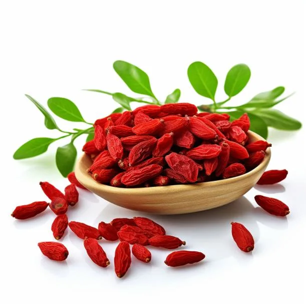 Topsale High quality/High cost performance  Dried Goji Berry Chinese Red Wolfberry Wild Dried Fruit Berries