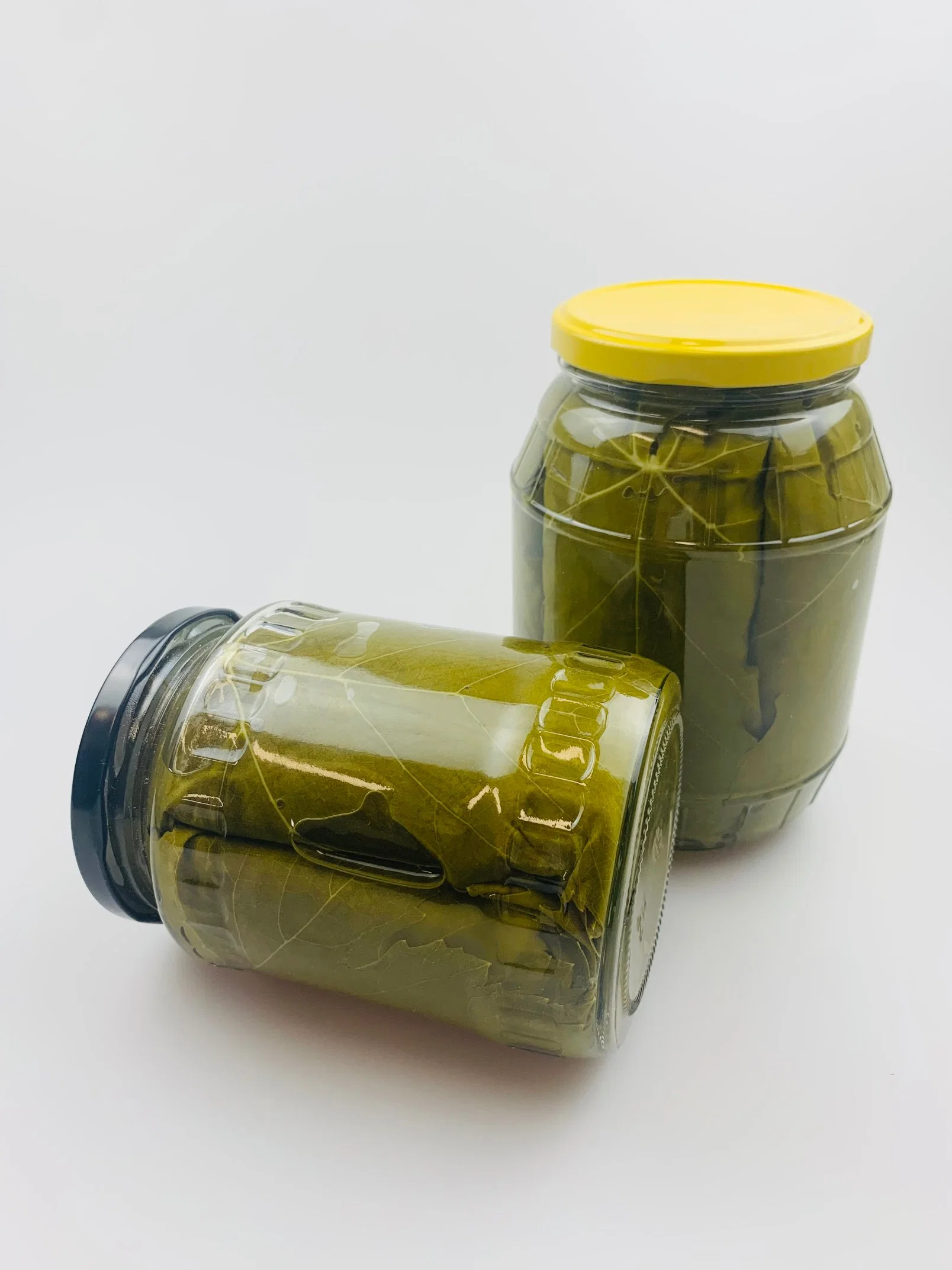 Good Quality Canned Grape Leaves in Brine Jars Fresh Stuffed Vineyard Leaves