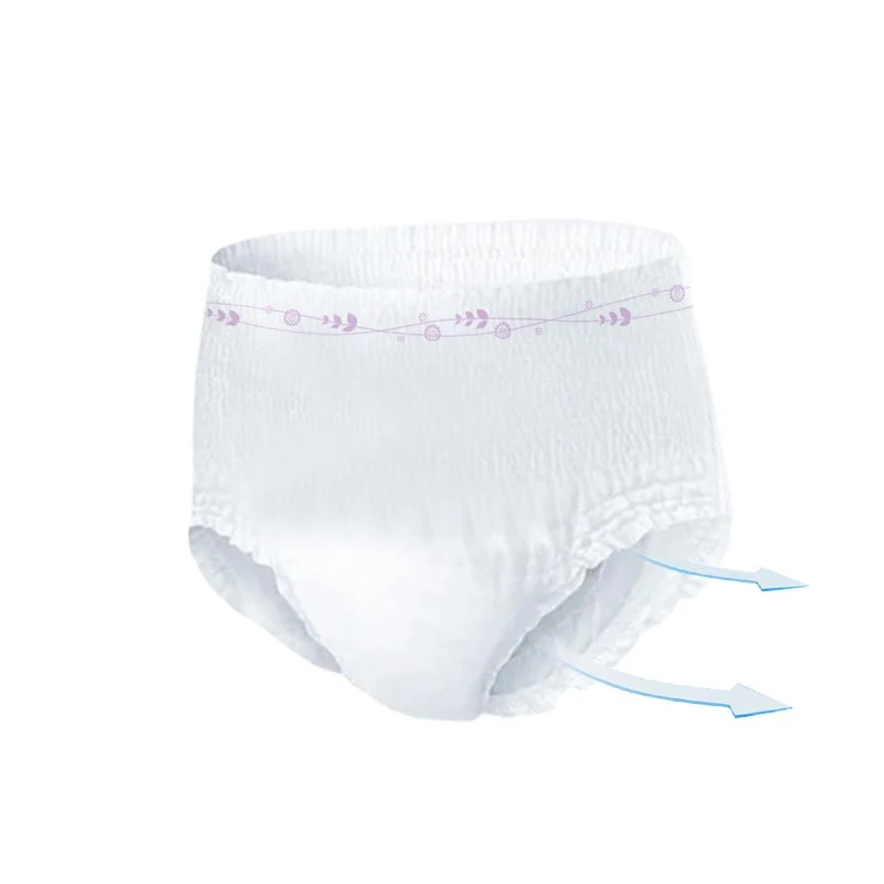 Customized Regular Winged OEM&ODM Fujian, China Liner Anion Chip Napkins Sanitary Pants Panty