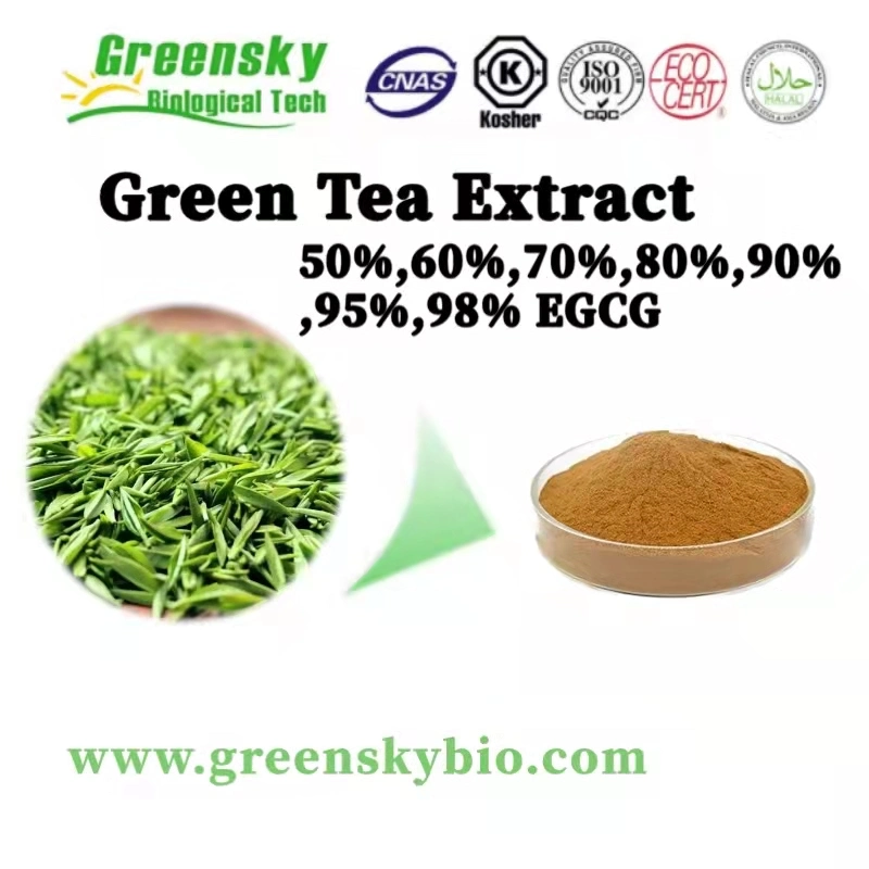 Plant Extract Herbal Extract Natural Antioxidant Green Tea Extract 50%, 60%, 70%, 80%, 90%, 95%, 98% EGCG Reduce Blood Fat and Inhibit Tumor Sterilization