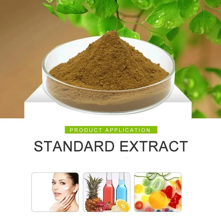 High quality/High cost performance Rosemary Leaf Extract Carnosic Acid/Rosmarinic Acid/Ursolic Acid