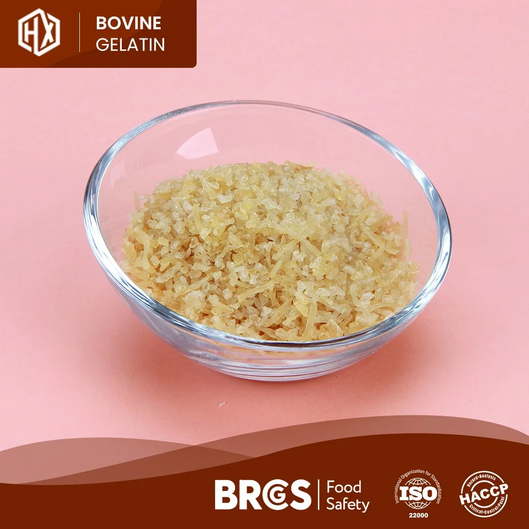 Haoxiang Yellow Granular Essbare Bovine Haut Gelatine Probe Verfügbar Bovine Skin Gelatin China Factory OEM maßgeschneiderte Großhandel Lebensmittel Grade Bovine Hautgelatin