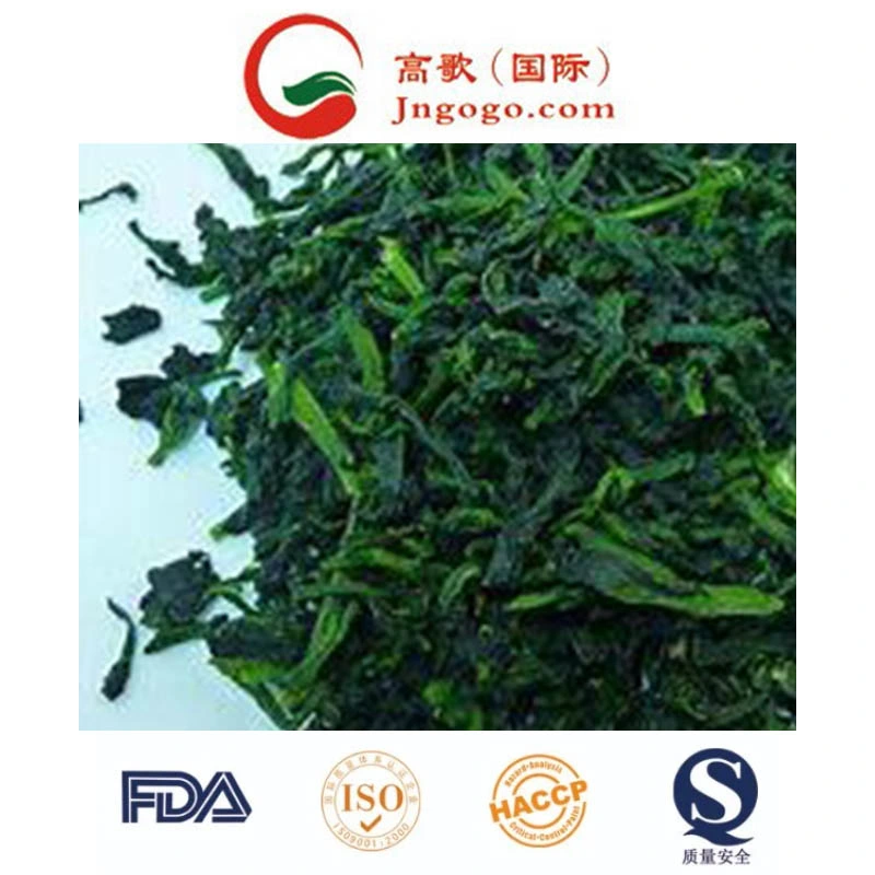 High quality/High cost performance Frozen Olive for Exporting and Frozen Vegetables